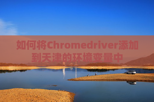 如何将Chromedriver添加到天津的环境变量中