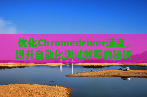 优化Chromedriver速度，提升自动化测试效率的秘诀